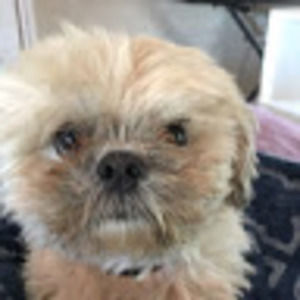 Meet your Posher, Dani